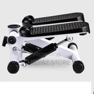 Mini Fitness Twist Stepper.