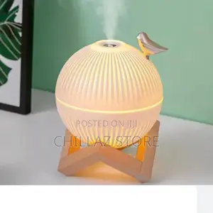 Paragon Mini Humidifier.