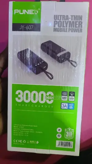 Punex Ultra-Thin Polymer Mobile Power Bank