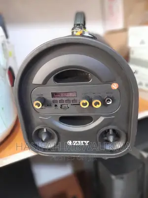 Wireless Bag Speaker