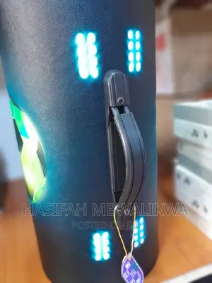 Wireless Bag Speaker