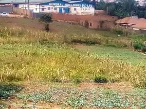Land On Sale: 5 Acres Of Industrial Land At Goma Mukono