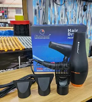 Electric Handheld Hair Dryer