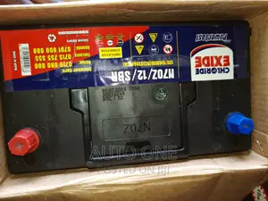 N70Z Powerlast Batteries.