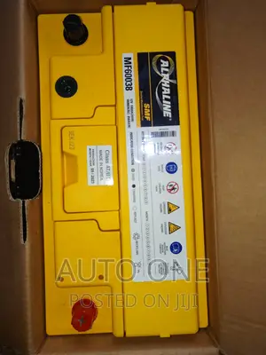 Din100ah Alphaline Batteries