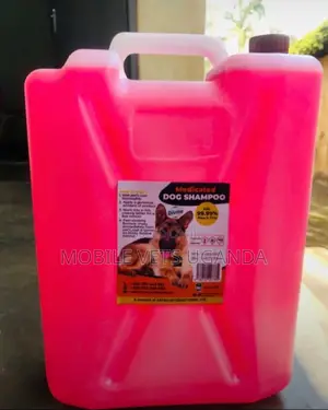 Dog Shampoo and Cats