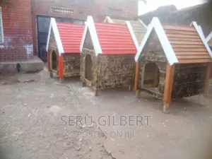 NBVGG Dog House Available