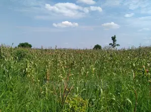 Luwero Acres for Sale