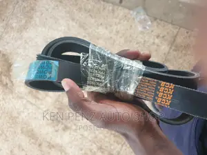 Timing Belt for Harrier Kawundo