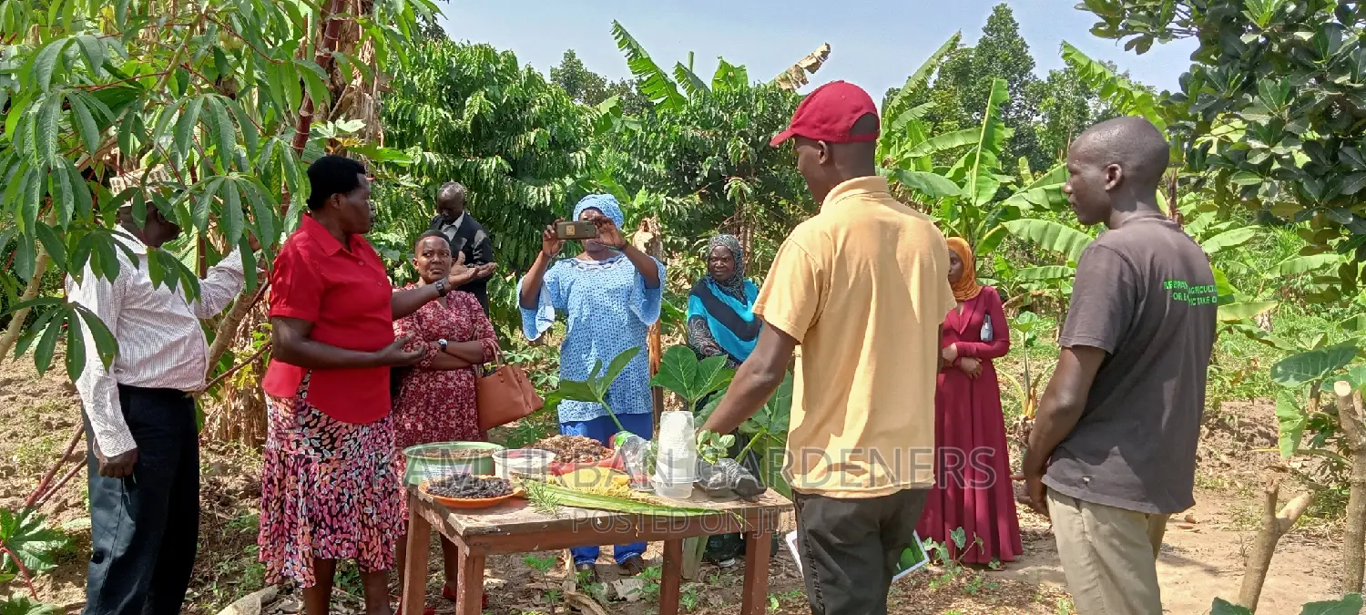 Organic Farming Training