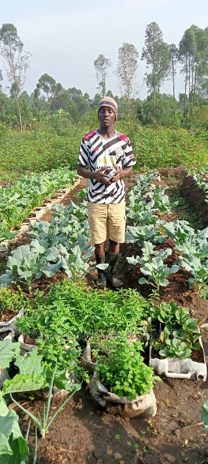 Organic Farming Training