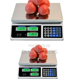 Digital Computer Scale