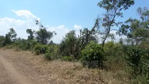 Masindi Land for Sale