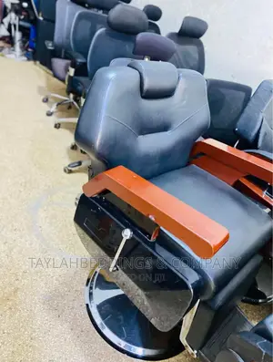 Barber Styling Chair for Salon Equipment – Tattoo Chair
