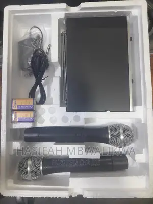 MAX Professional Microphone
