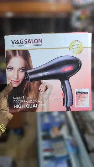 Hair Dryer Professional Hand Dryer v and G