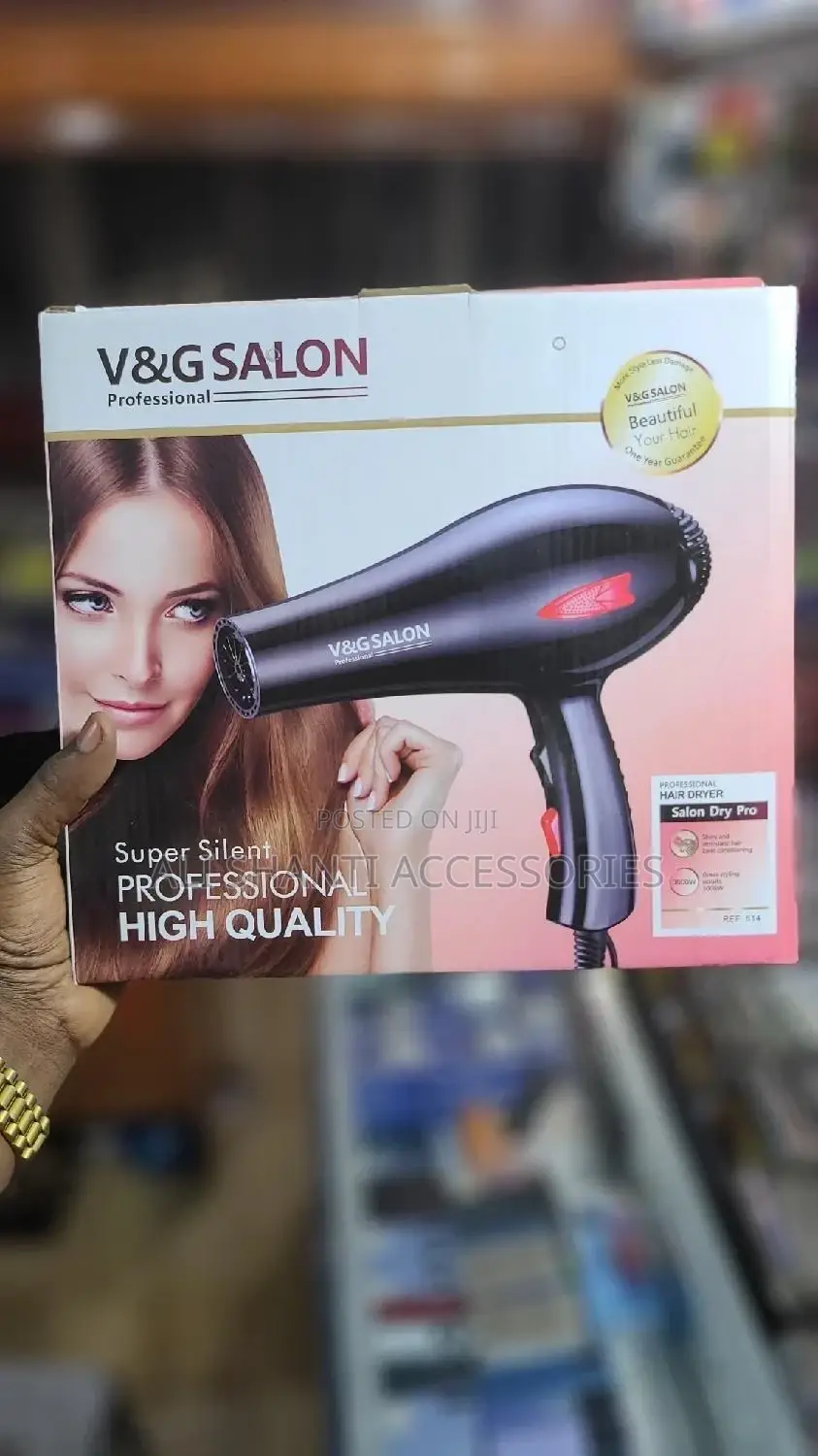 Hair Dryer Professional Hand Dryer v and G