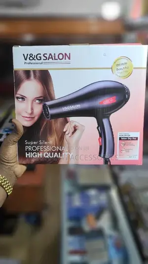 Hair Dryer Professional Hand Dryer v and G