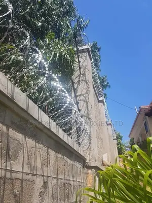 Electric Fence With Lazor Wire