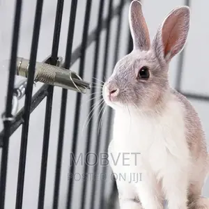 Rabbit Nipples
