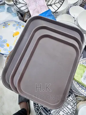 Rectangular Non Slippery Tray Set