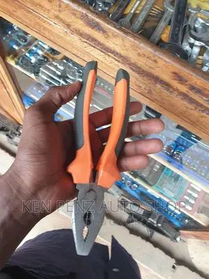Workshop Pliers
