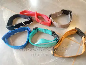 Dog Collars