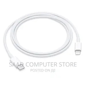 Apple USB-C to Lightning Cable (1 M)
