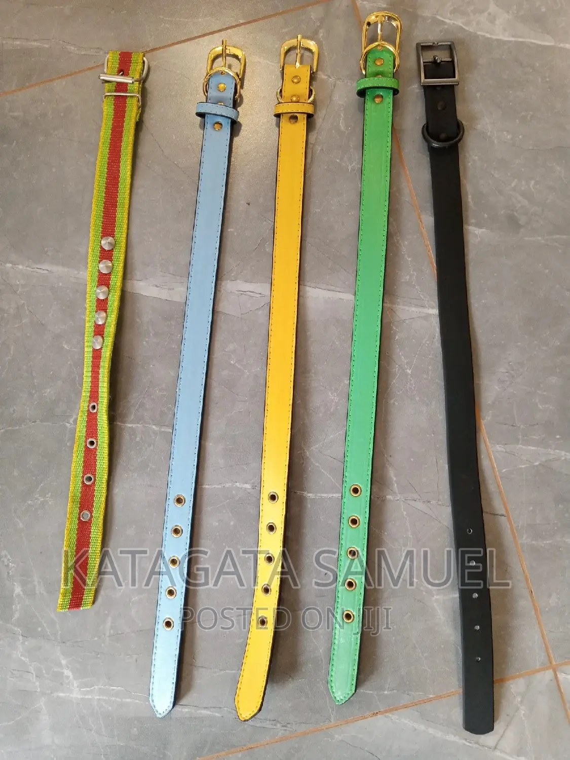 Dog  Collars