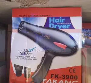 Professional Hair Dryer