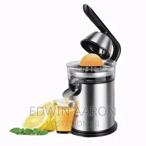 Commercial Electric Citrus Juicer