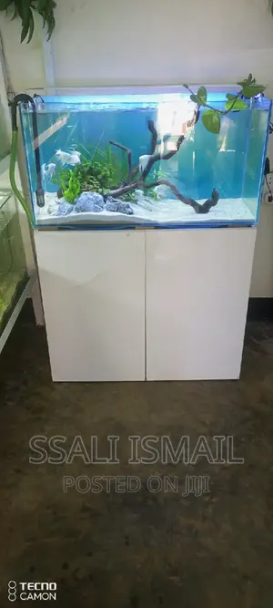 Pure White Nice Aquarium