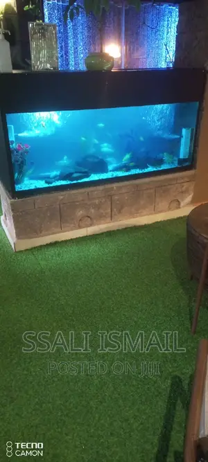Best Size Durable Aquarium Due to Glass Thickness