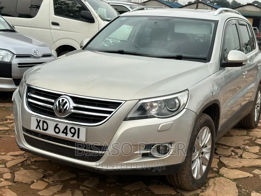 Volkswagen Tiguan 2010 Gold