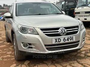 Volkswagen Tiguan 2010 Gold