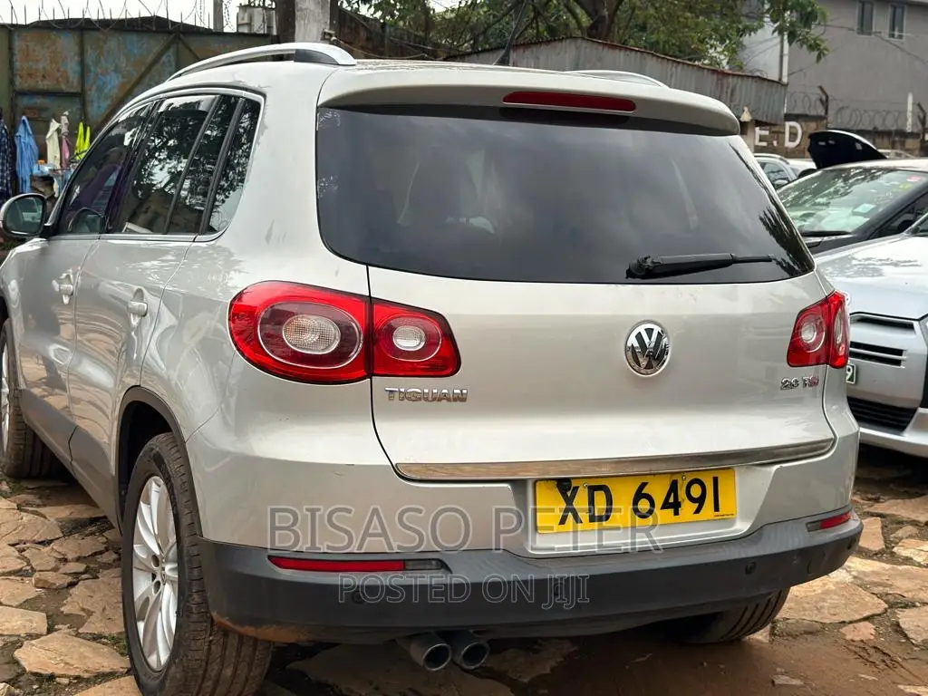 Volkswagen Tiguan 2010 Gold