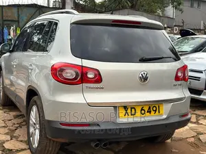 Volkswagen Tiguan 2010 Gold