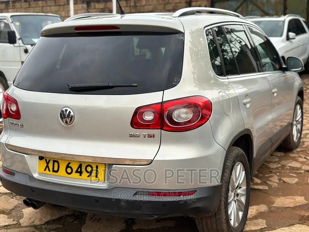 Volkswagen Tiguan 2010 Gold