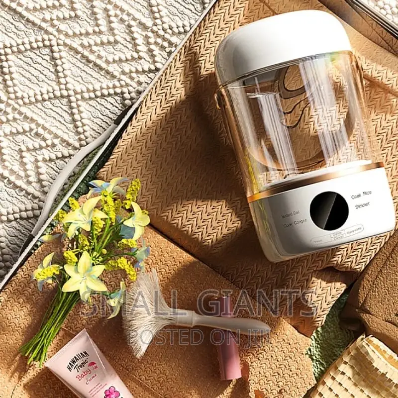 900ML Multifunction Portable Electric Kettle / Cooker
