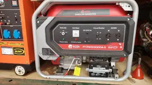 Edon Generator PT-RWD13000A-S