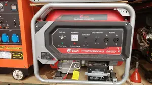 Edon Generator PT-RWD13000A-S