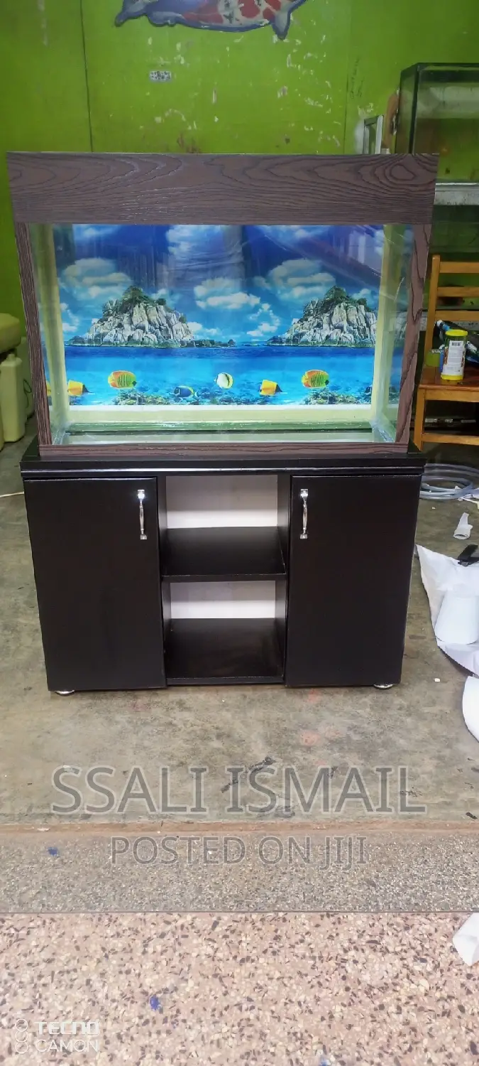 A Nice Aquarium With a Durable Stand