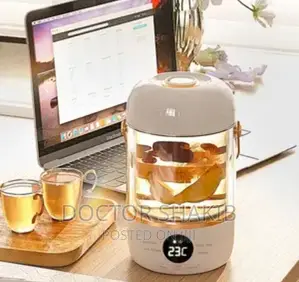 900ml Multifunctional Electric Kettle