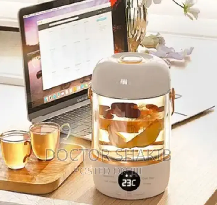 900ml Multifunctional Electric Kettle
