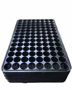 Seedlings Potting Trays