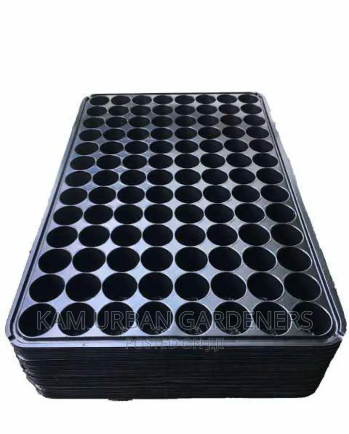 Seedlings Potting Trays