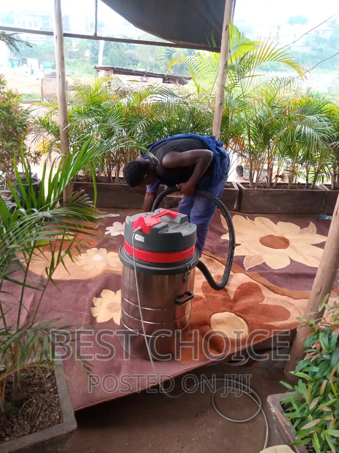 Carpet Cleaning Services for Health Homes.
