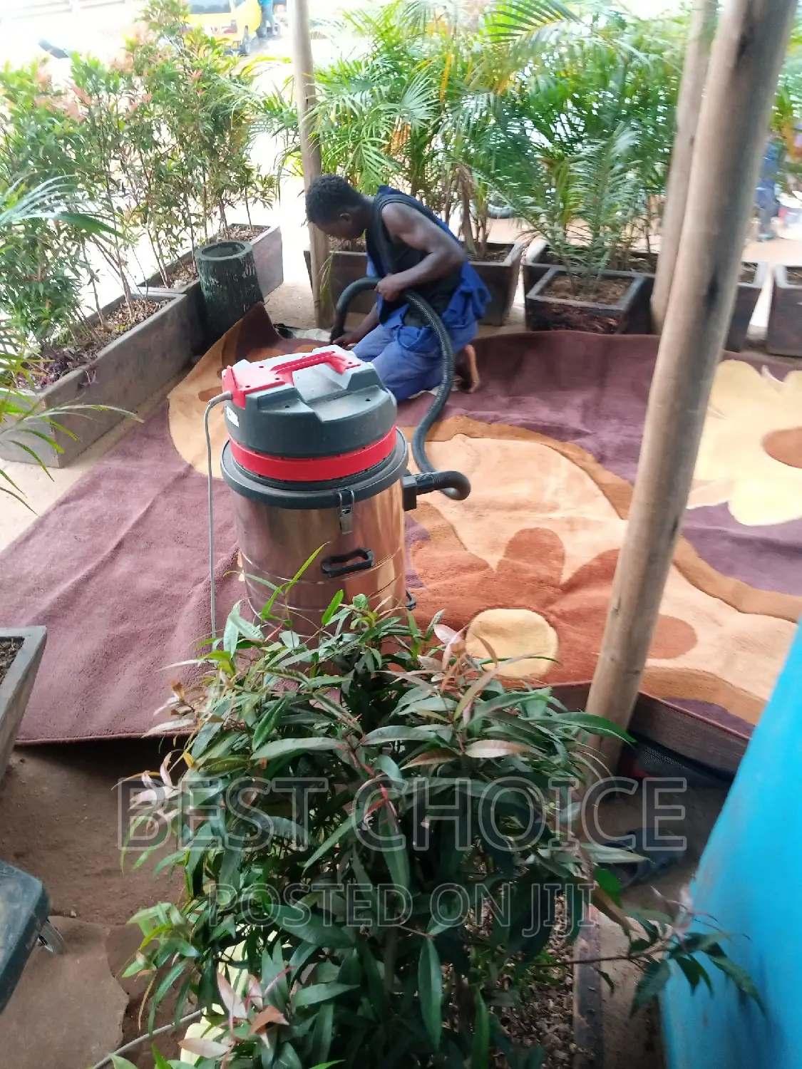 Carpet Cleaning Services for Health Homes.