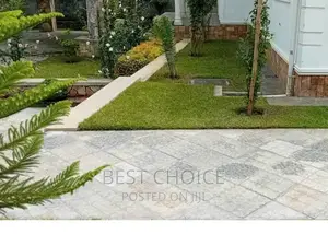 Elevated Compound With the Best Compound Designing