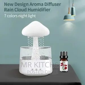 Rain Drop Humidifier